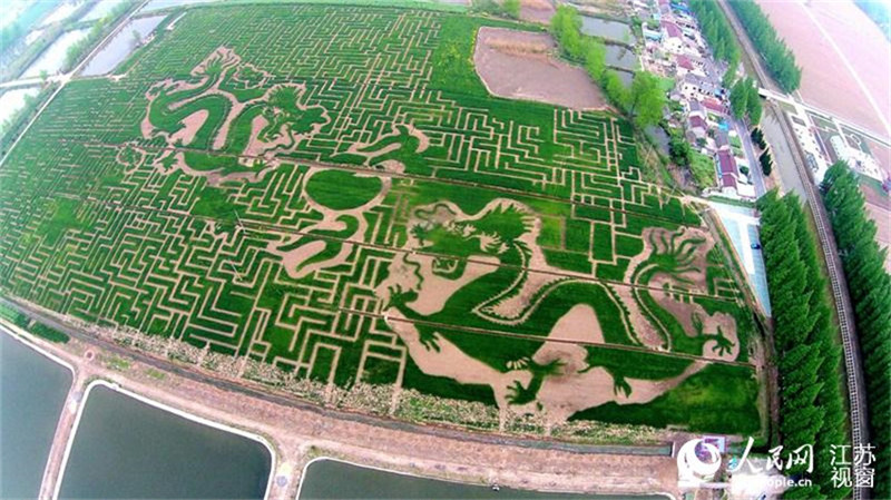 Landschaftskunst in Luhe