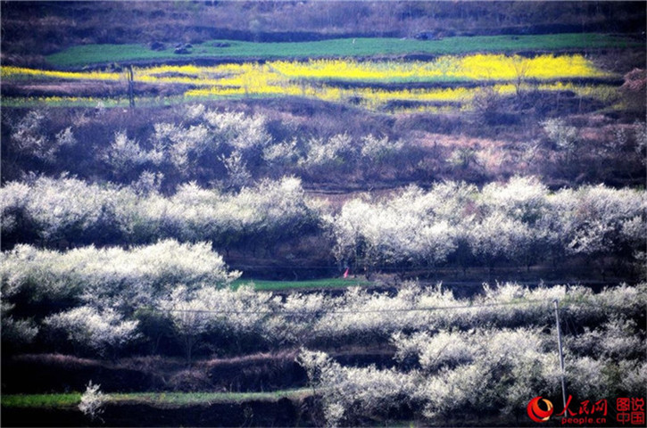Die zehn sch?nsten Landschaftsaufnahmen chinesischer Internetnutzer