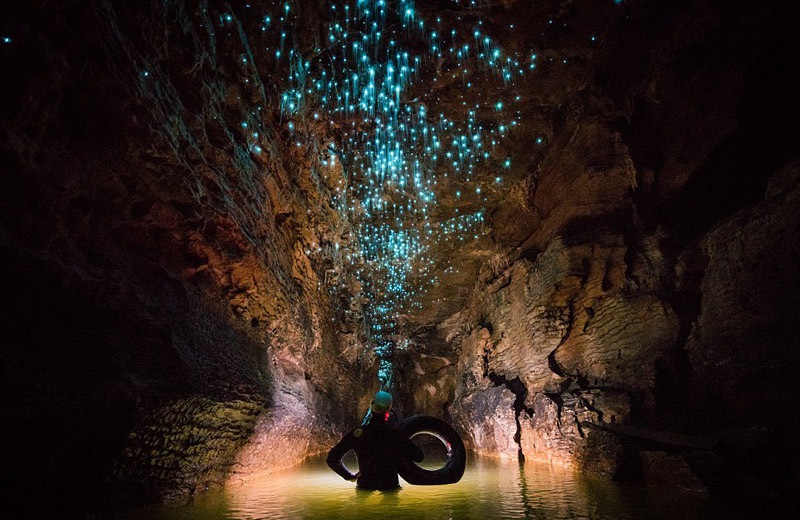 Magische Glühwürmchen-H?hle in Neuseeland