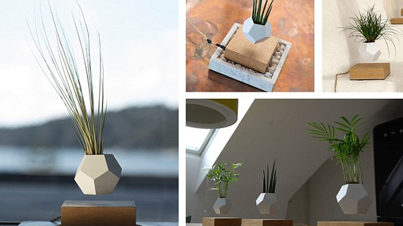 Unidentifiziertes Topf-Objekt – Schwebende Pflanzen aus Schweden