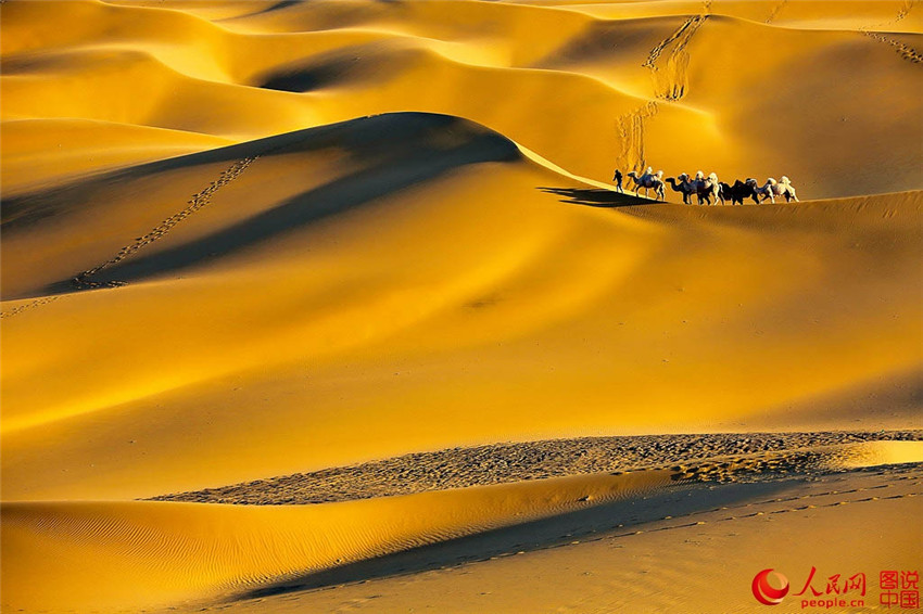 Kumtang – Die Wüste in der Stadt