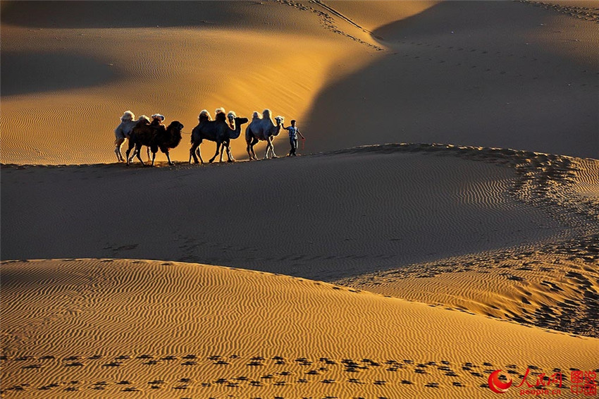 Kumtang – Die Wüste in der Stadt