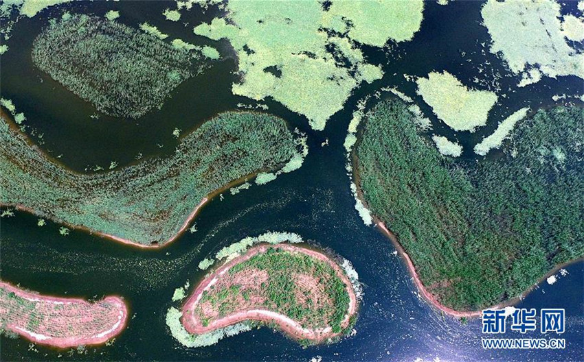 Luftbilder: Chaobai-Flussauenpark in Tianjin