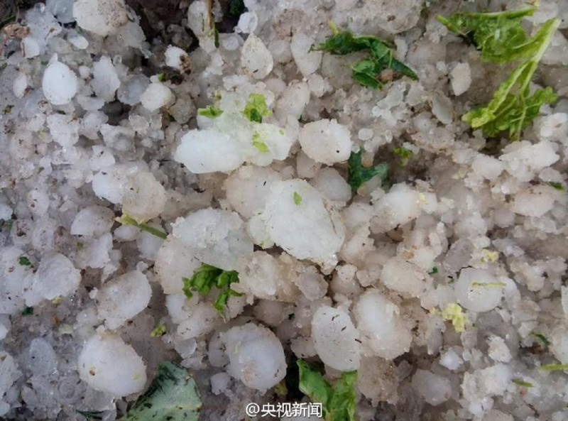 Taubeneigro?e Hagelk?rner in Hebei