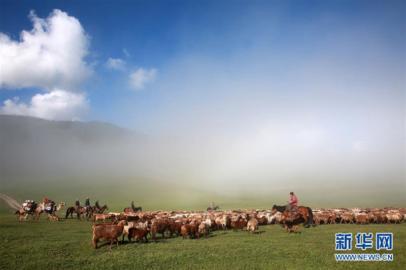 Sommerviehtrieb in Altay