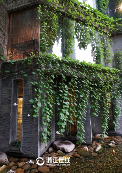 Wie aus dem M?rchen – Grün umranktes Haus in Wenzhou