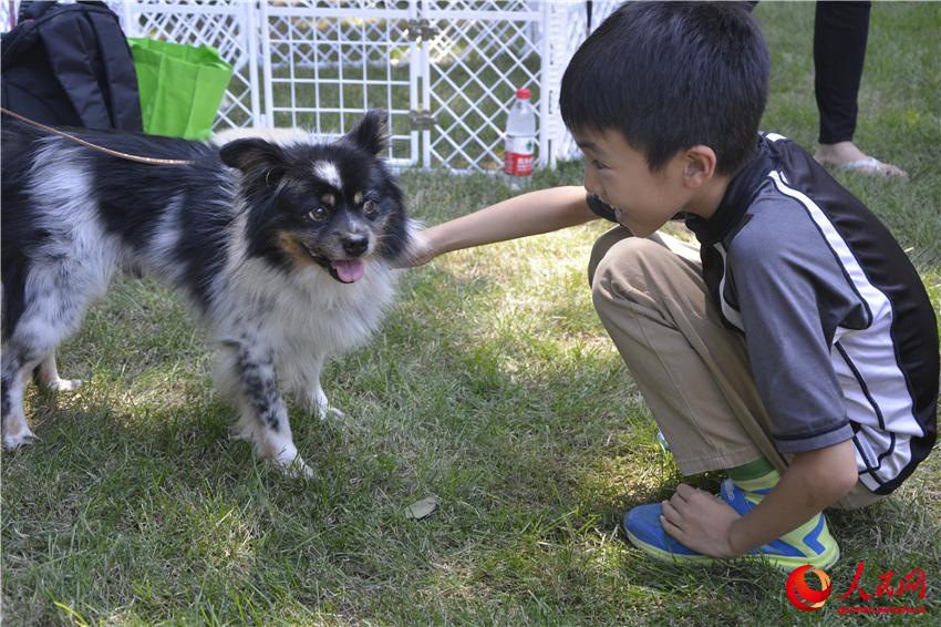 Tag der offenen Tür in der niederl?ndischen Botschaft
