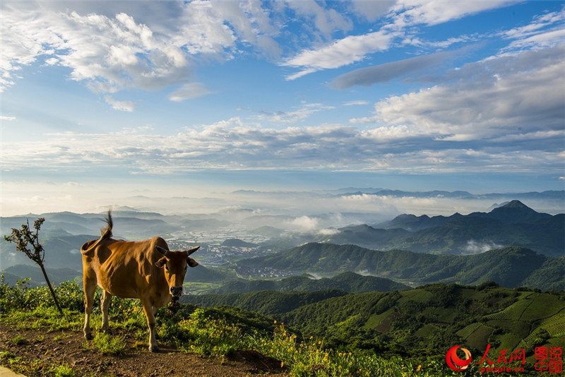 Neue Energie, neue Sehenswürdigkeit
