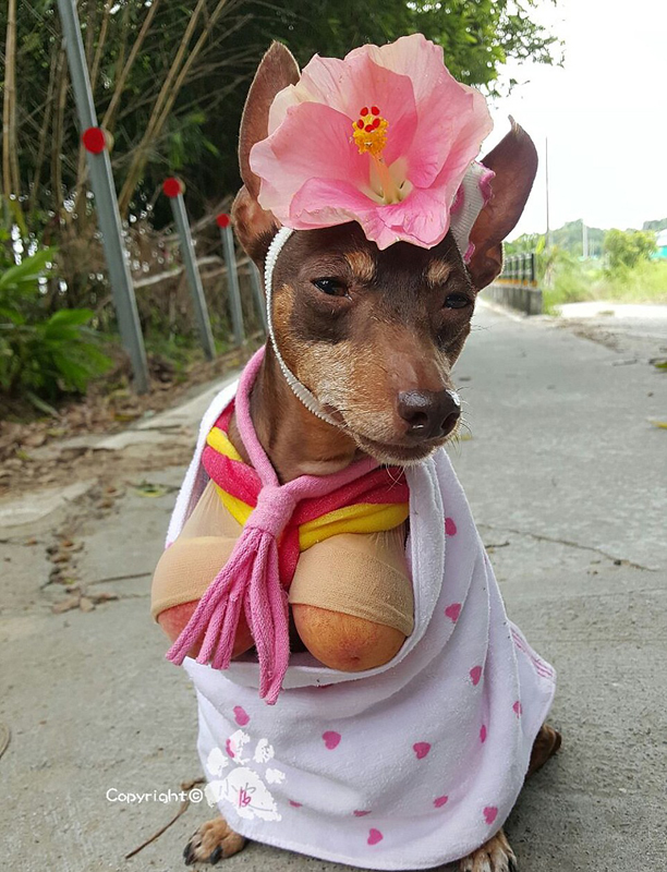 Ein bunter Hund und freche Früchtchen
