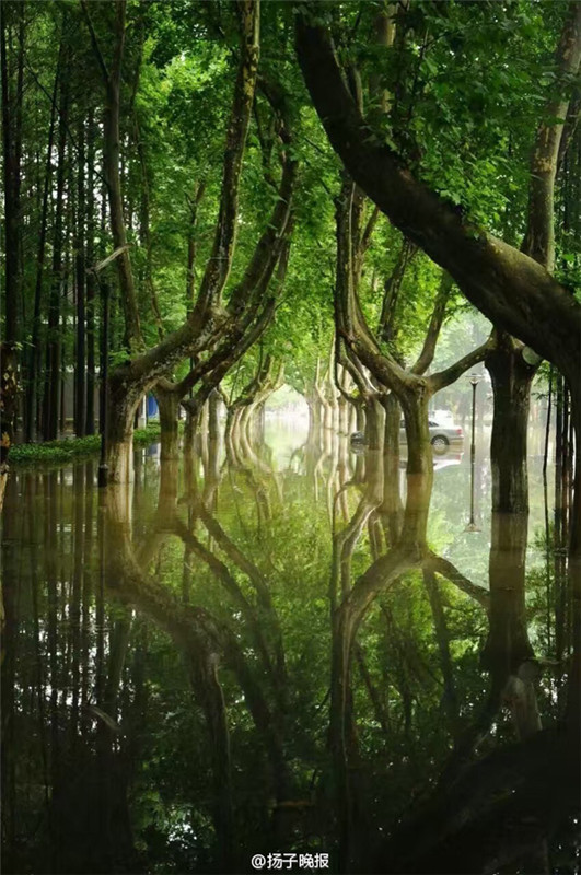 ?Fabelhaftes Dahingleiten“ nach starken Regenf?llen an der Universit?t in Nanjing