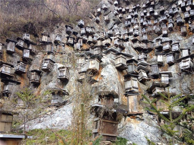 40. Sitzung des UNESCO-Welterbekomitees: China doppelt nominiert