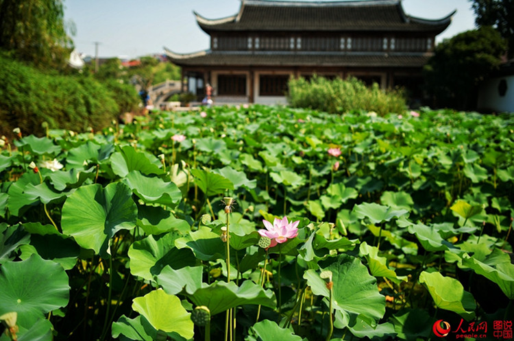 Die sch?ne alte Stadt Xinchang