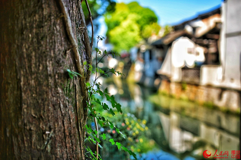 Die sch?ne alte Stadt Xinchang