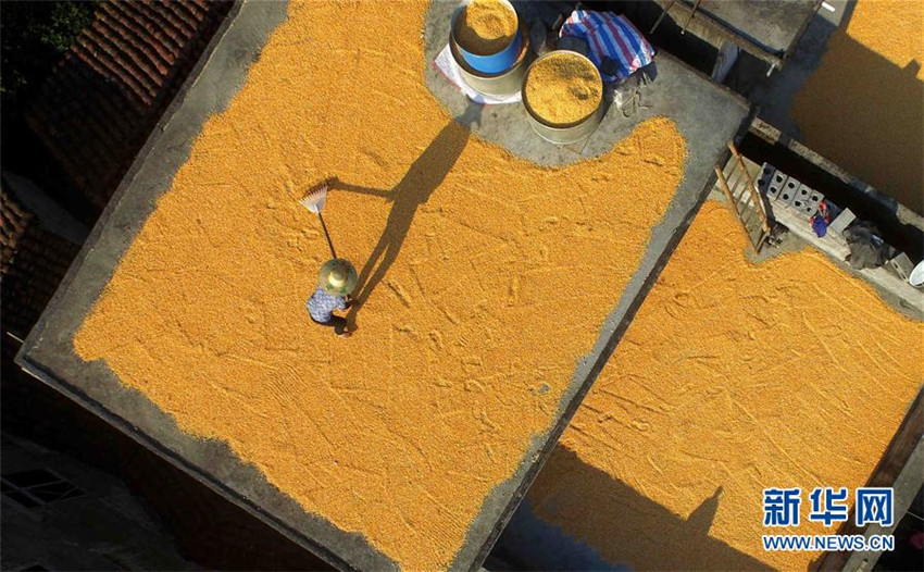 Goldene D?cher in Guangxi