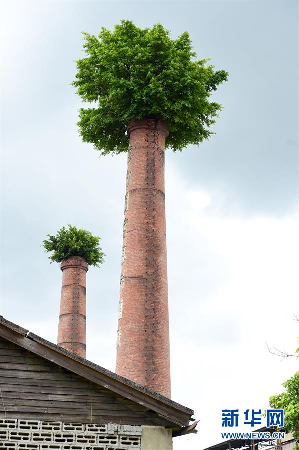 Die Schornsteine tragen grüne Hüte