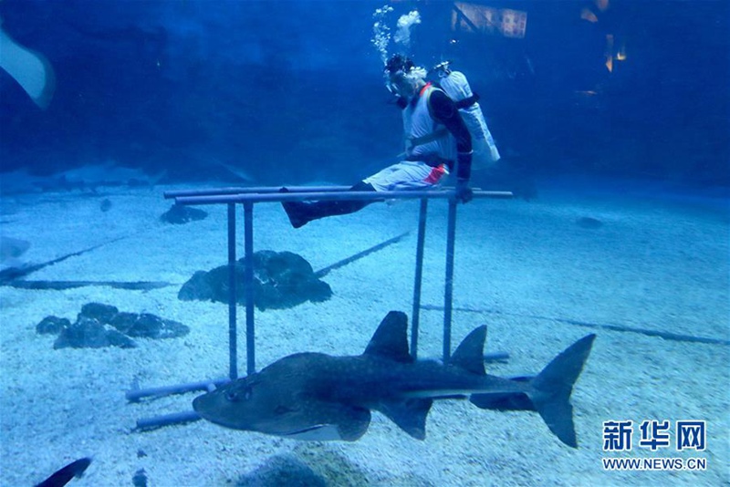 ?Olympische Unterwasser-Spiele“ in Yantai