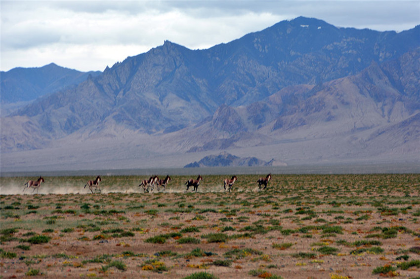 Das Naturschutzgebiet auf dem Altun-Berg