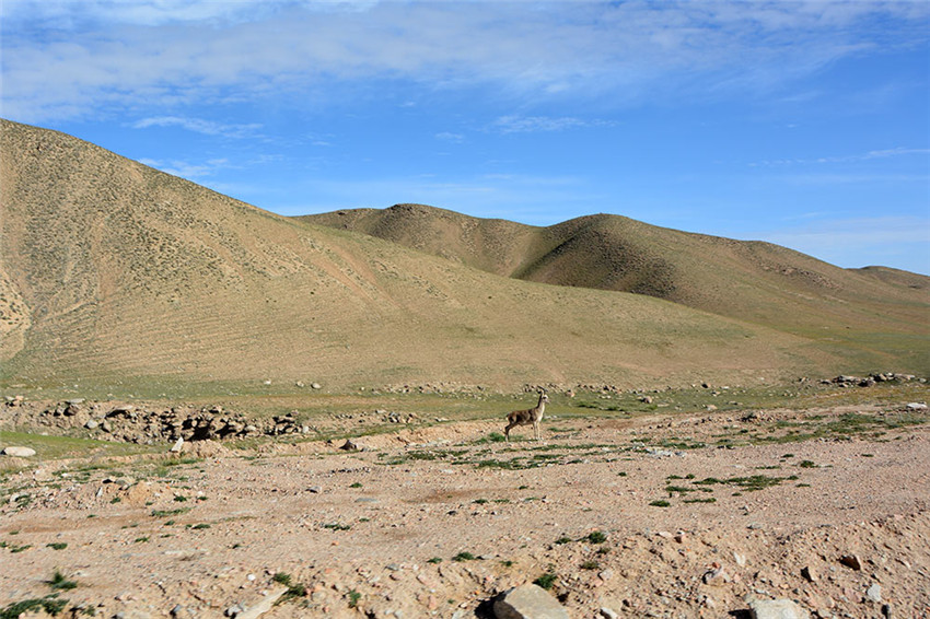 Das Naturschutzgebiet auf dem Altun-Berg
