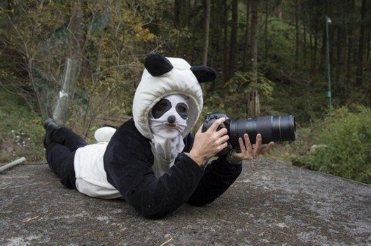 B?rendienst – Fotografin wird selbst zum Panda