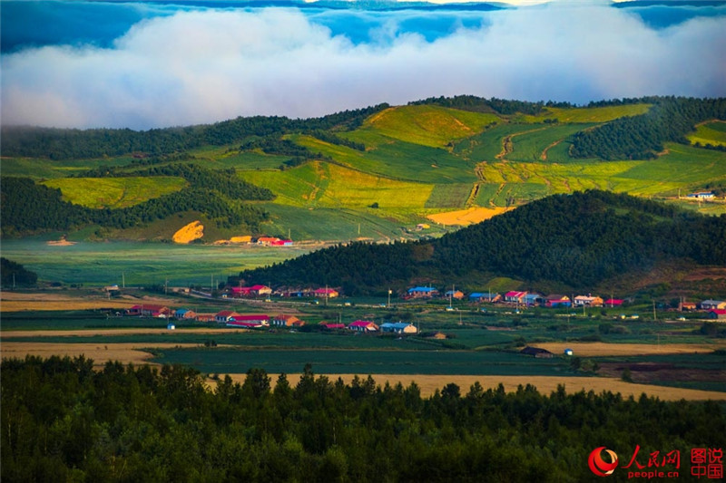 Schwarzerdefelder in Nordostchina