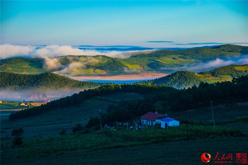 Schwarzerdefelder in Nordostchina