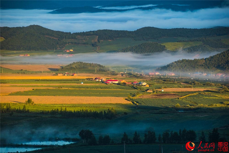 Schwarzerdefelder in Nordostchina