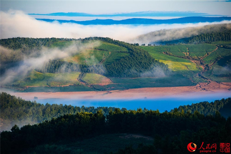 Schwarzerdefelder in Nordostchina
