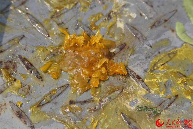 ?ffentlicher Schienenverzehr – Grillen auf hei?en Gleisen