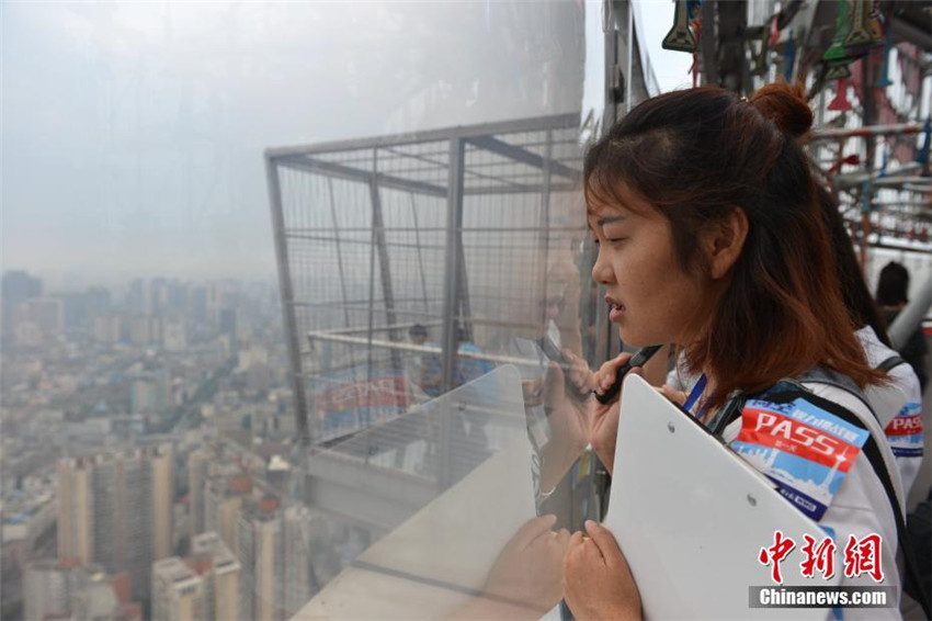 Scharfe Augen in luftiger H?he