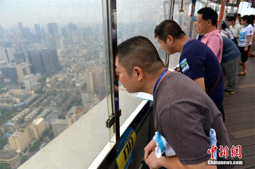 Scharfe Augen in luftiger H?he