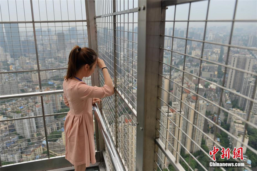 Scharfe Augen in luftiger H?he