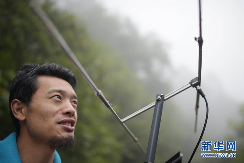 Wildnistraining für Pandas