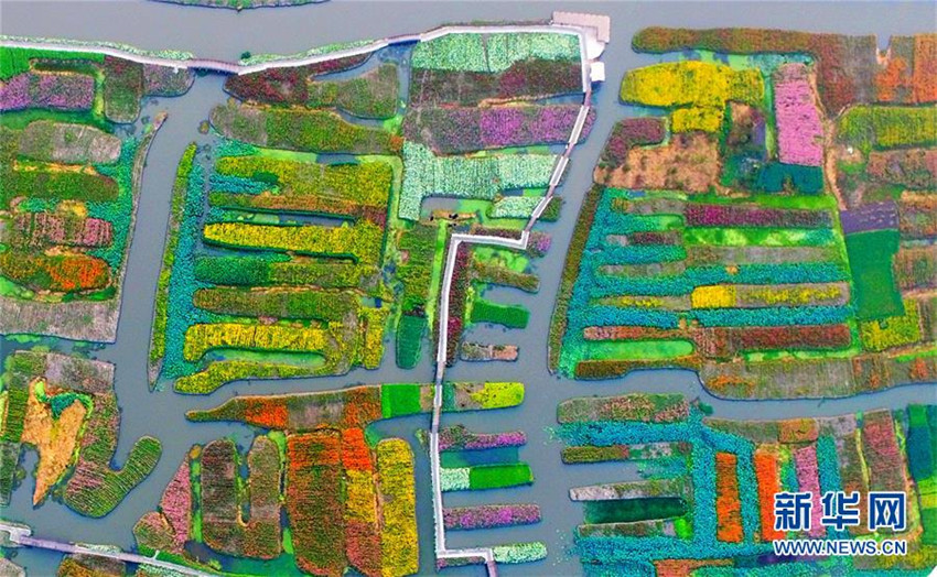 Inseln der Farbe in Jiangsu