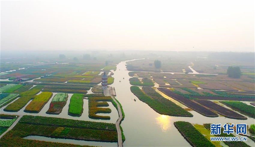Inseln der Farbe in Jiangsu