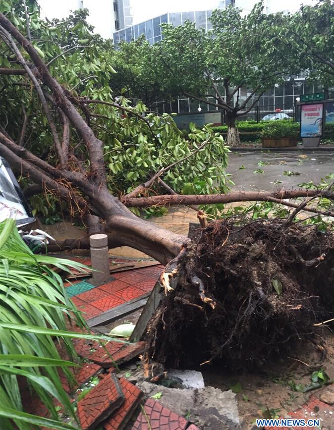 Taifun Meranti erreicht Ostchina