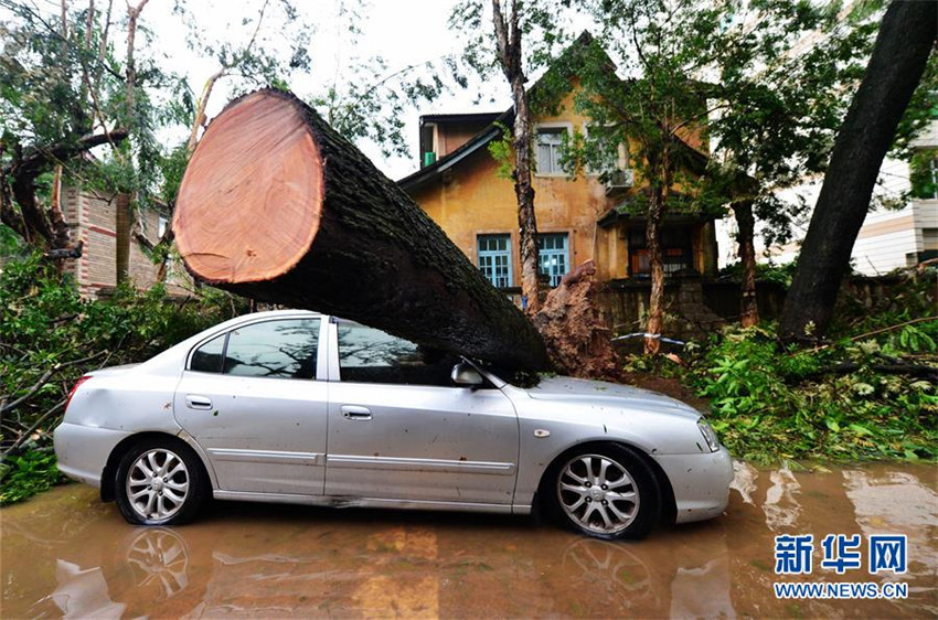 Taifun Meranti wütet über Xiamen