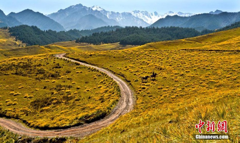 Die Herbstfarben des Qilian-Gebirges