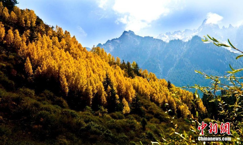 Die Herbstfarben des Qilian-Gebirges