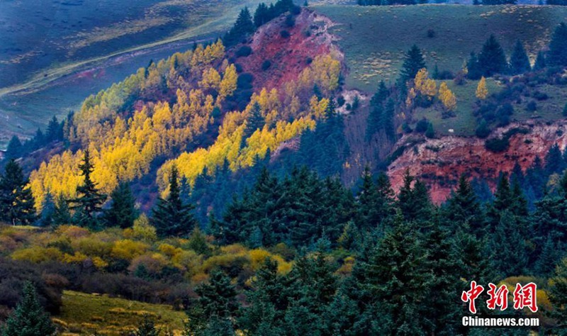 Die Herbstfarben des Qilian-Gebirges
