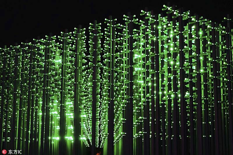 Qingdao: Ein Bierwald an ihrem Ufer stand...