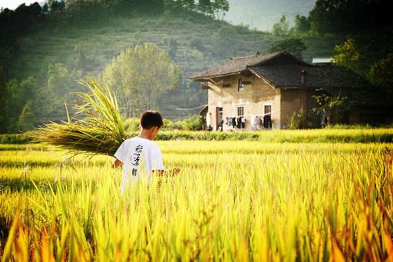 Touristische Attraktion: Das Yanping-Dorf im Kreis Hanyin