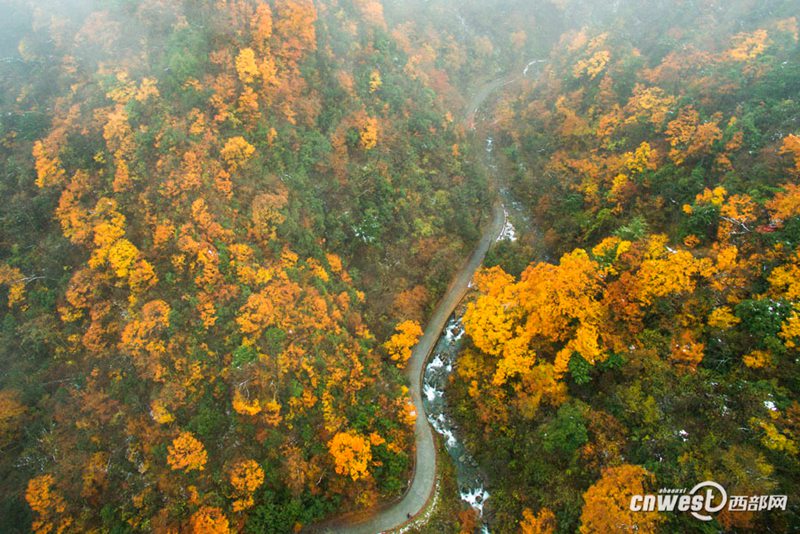 Farbiger Herbst in der Feidu-Schlucht