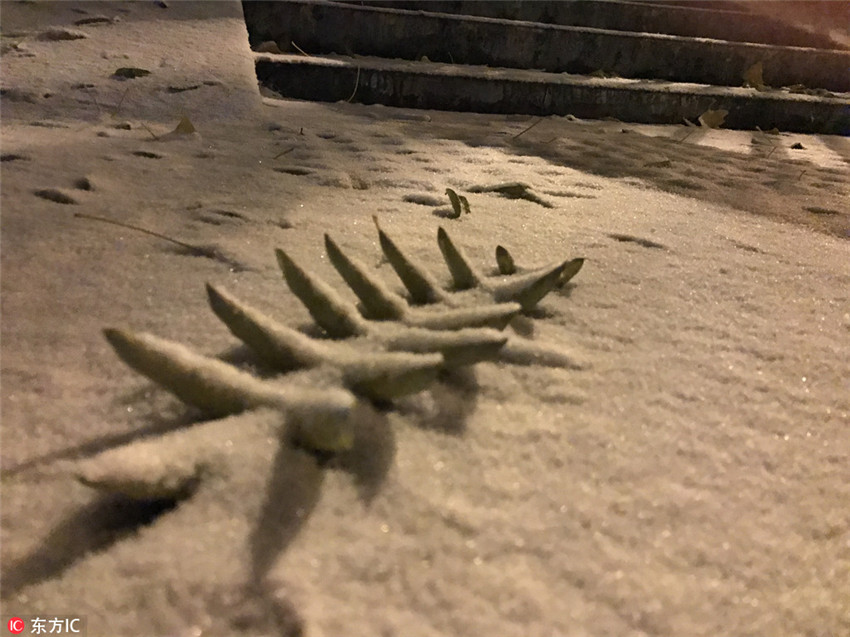 Erster Schnee in Beijing