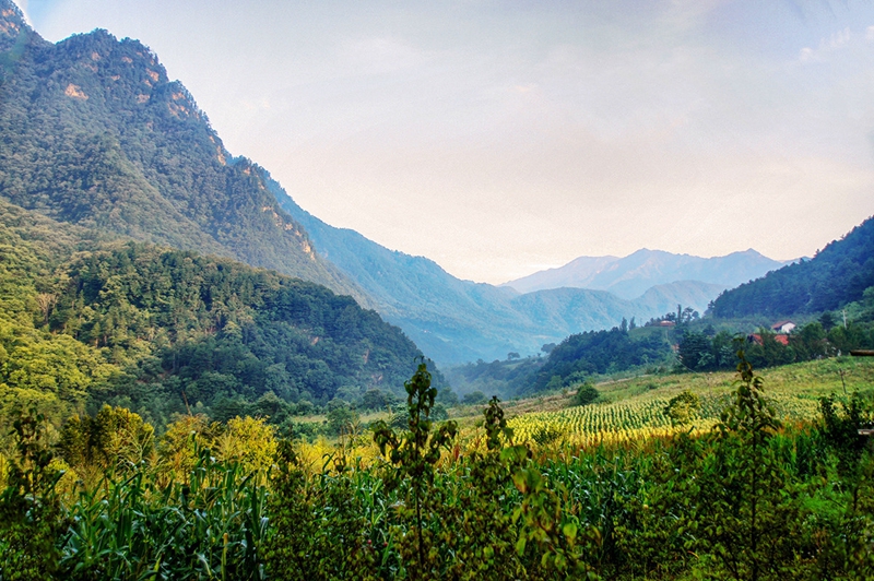 Huangbaiyuan wird als ?die sch?nste Gemeinde Chinas? ausgezeichnet