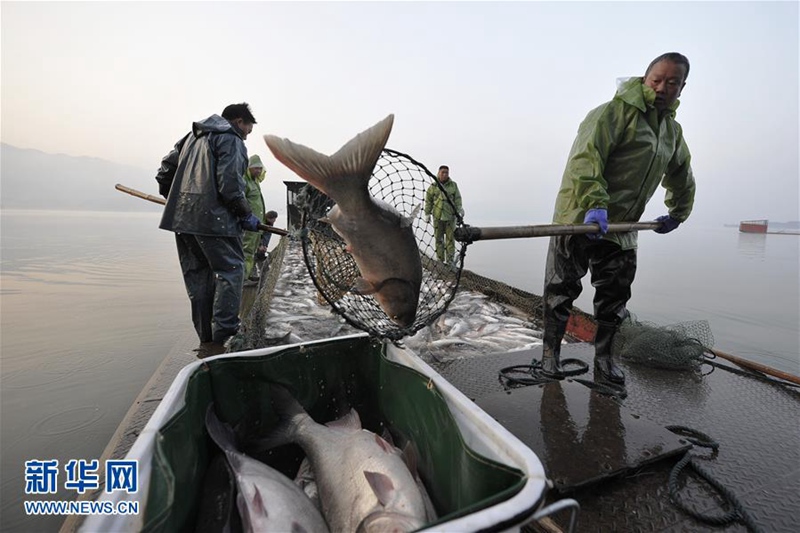Der Winterfischfang auf dem Xiannü-See