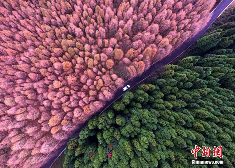 Nationaler ?kologischer Karst-Park aus der Vogelperspektive