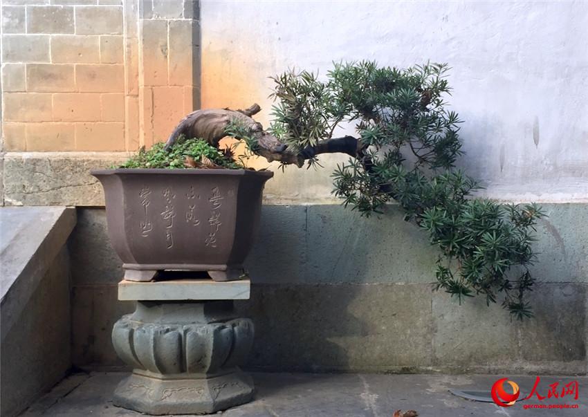 über den Berg – Malerisches China im Kreis Wuyuan