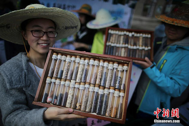 Nanjinger Studenten zeigen ihr K?nnen und ihre Liebe zum Fach