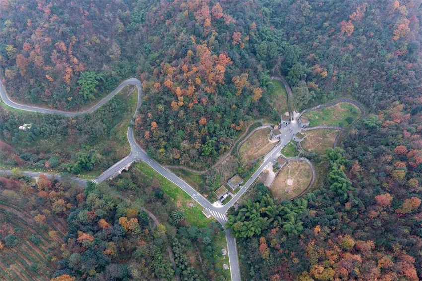 Pflegeheim für Pandas