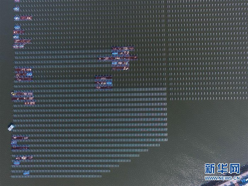 Kombination aus Fischzucht und Solarpark in Cixi